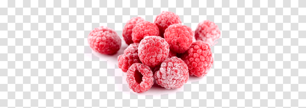 Packaging Fragile Frozen Fruits Frozen Raspberries, Raspberry, Plant, Food, Sweets Transparent Png