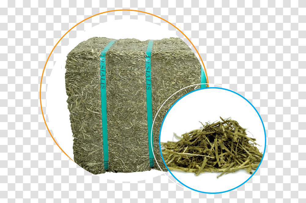 Packed In Bagged Small Bales Of 20 Kg The Alfalfa, Plant, Beverage, Drink, Jar Transparent Png