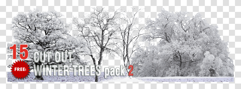 Packs Cut Out Vegetation Trees Cut Out Winter Trees Winter Trees Cut Out, Nature, Outdoors, Ice, Snow Transparent Png