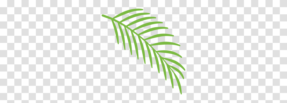 Pact For Sustainable Palm Oil, Leaf, Plant, Tree, Zebra Transparent Png