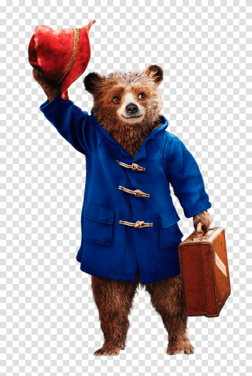 Paddington Bear In Mail Bag, Apparel, Coat, Person Transparent Png