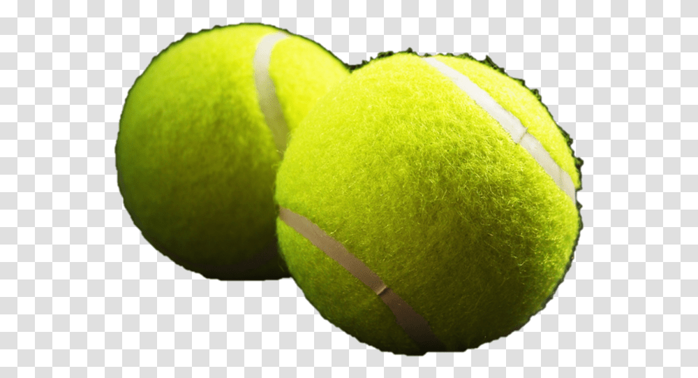 Paddle Tennis, Tennis Ball, Sport, Sports, Sphere Transparent Png