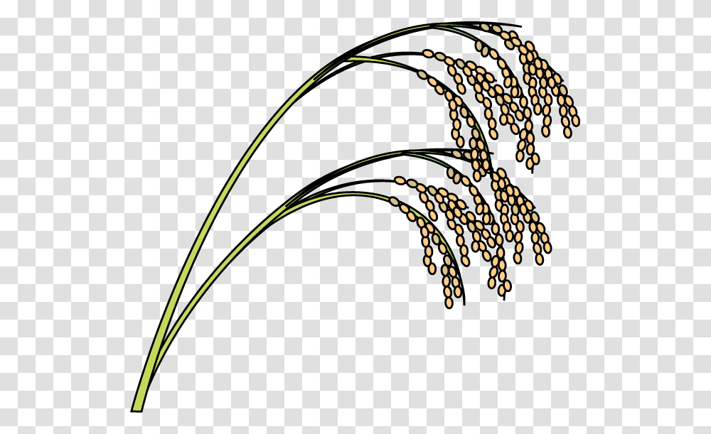 Paddy Clipart Black And White, Plant, Grass, Accessories, Accessory Transparent Png