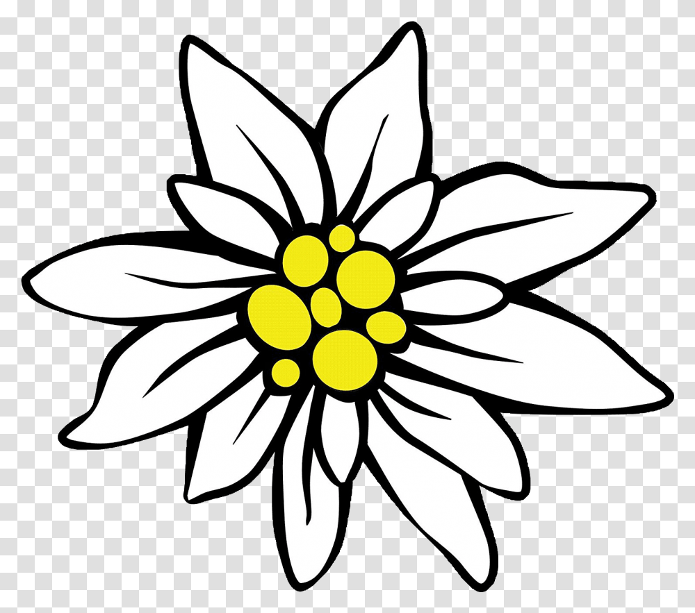 Page Divider Clipart Download Full Size Clipart Clipart Simple Edelweiss Flower Drawing, Daisy, Plant, Daisies, Blossom Transparent Png