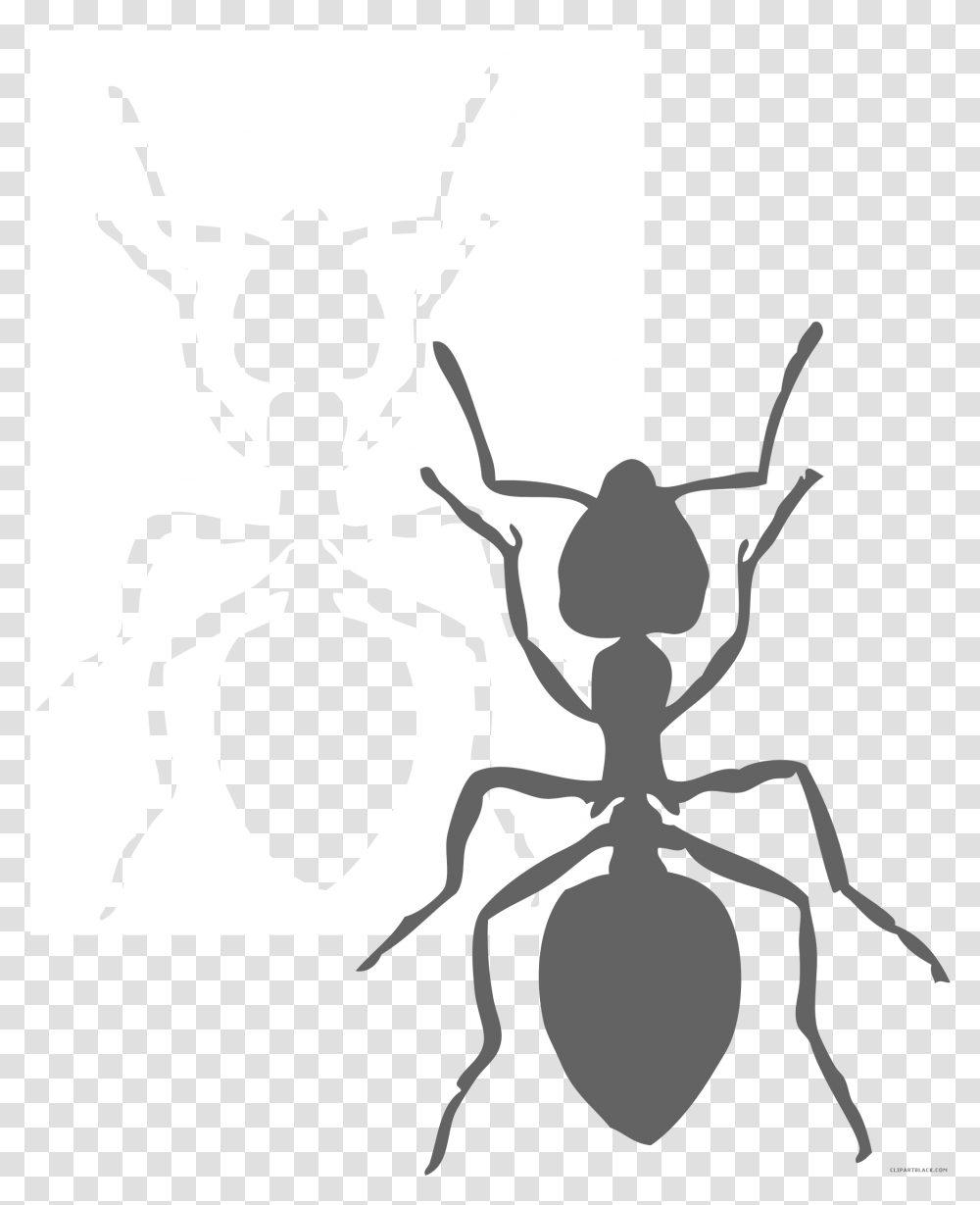 Page Of Clipartblack Com Black And White Big Ant Clipart Black And White, Invertebrate, Animal, Insect Transparent Png