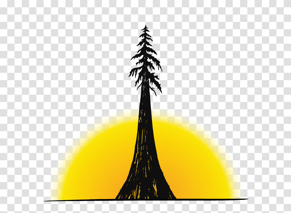 Pagelines Logo Notext Tall Tree Music Festival, Plant, Outdoors, Nature, Moon Transparent Png