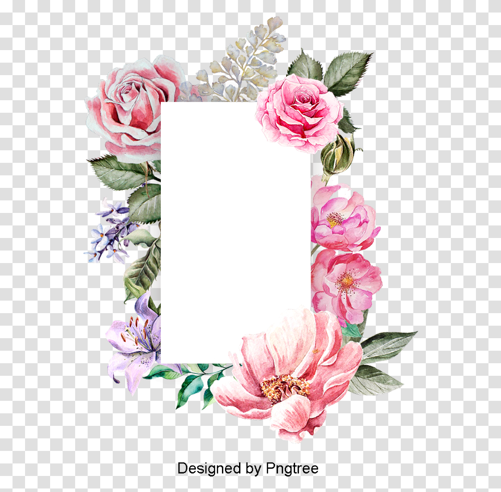 Paint Border Flower Vector Frame, Plant, Blossom, Wreath, Flower Arrangement Transparent Png