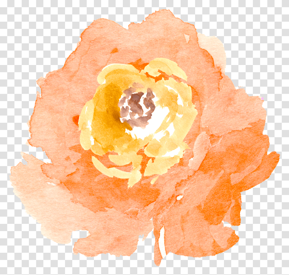 Paint Clipart Watercolour Background Free Flower Clipart, Plant, Blossom, Carnation, Paper Transparent Png