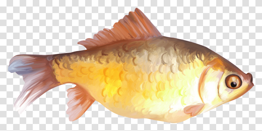 Paint Fish Clipart Fish Painting, Goldfish, Animal, Dinosaur, Reptile Transparent Png