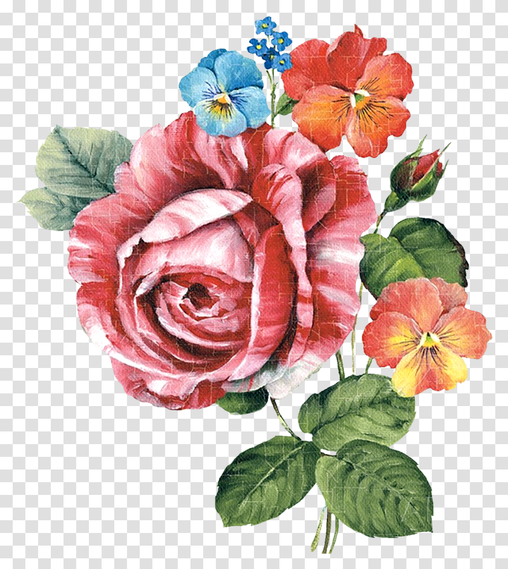 Paint Flower Cliparts Botanical Flowers, Plant, Blossom, Rose, Flower Arrangement Transparent Png