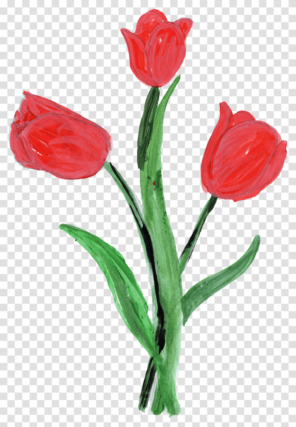 Paint Flower Onlygfxcom Painted Tulip Flower, Plant, Blossom, Petal, Flower Arrangement Transparent Png