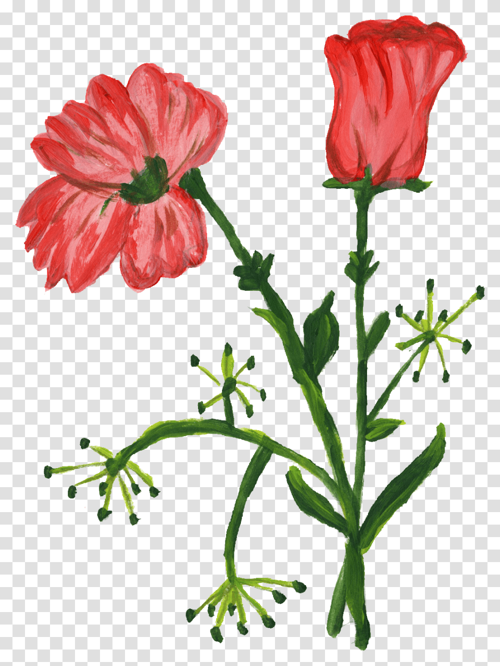 Paint Flower Onlygfxcom Stem, Plant, Blossom, Geranium, Petal Transparent Png