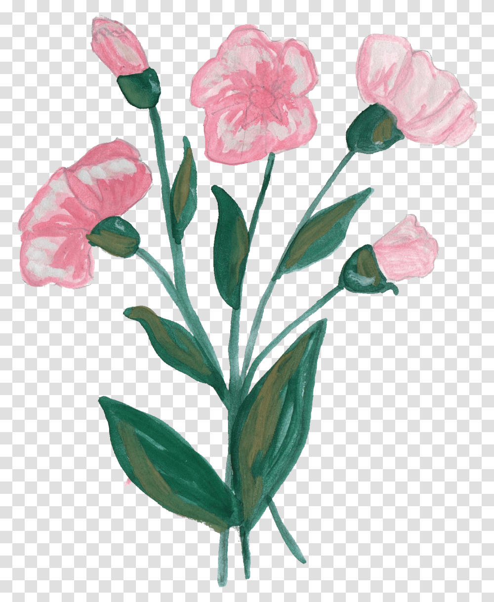 Paint Flower Ornament Flower Painting, Plant, Blossom, Carnation, Hibiscus Transparent Png