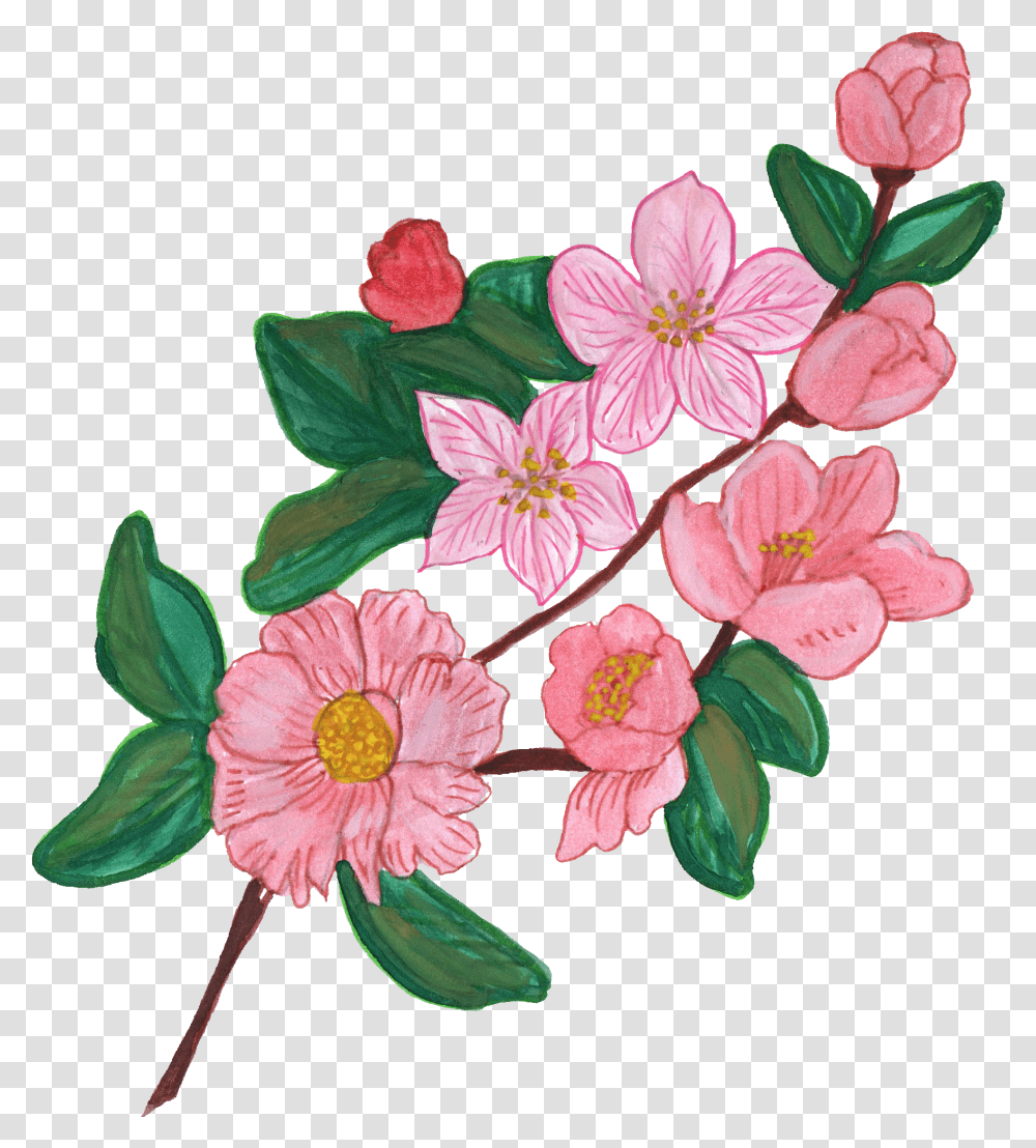 Paint Flower Ornament Flowers Images Painted, Plant, Blossom, Acanthaceae, Geranium Transparent Png