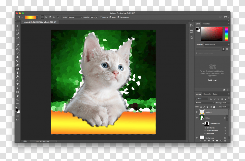 Paint In Adobe Photoshop, Cat, Pet, Mammal, Animal Transparent Png