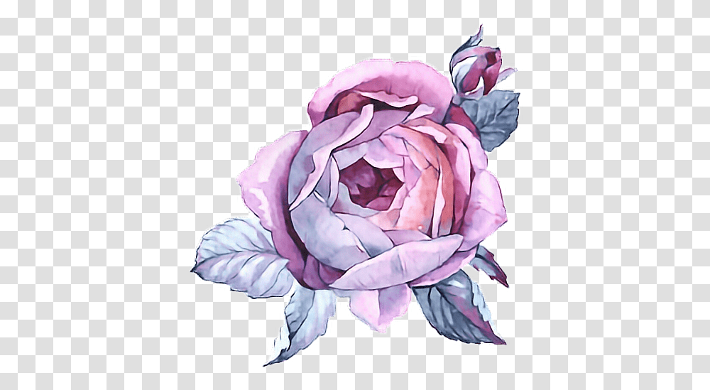 Paint Purple Flower Watercolor Watercolor Painting, Plant, Rose, Blossom, Petal Transparent Png