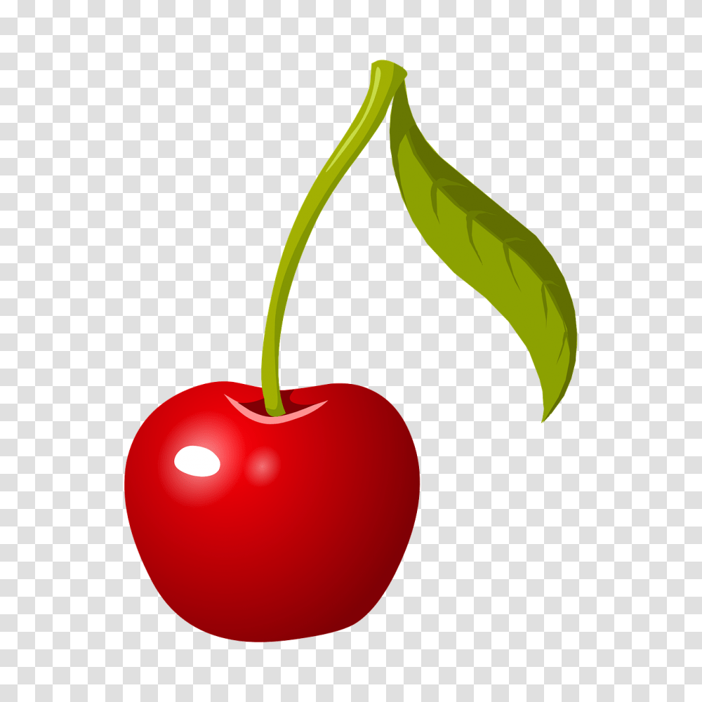 Paint Splash Effect Photoshop Steemit, Plant, Fruit, Food, Cherry Transparent Png