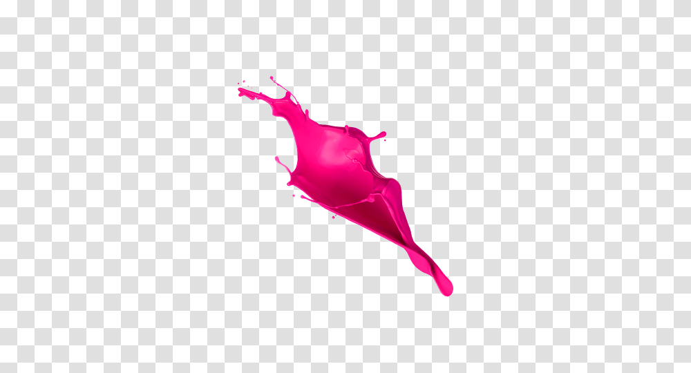 Paint Splash, Animal, Person Transparent Png