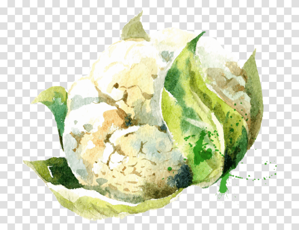 Paint Splatter Vector Vegetable Watercolor Art, Plant, Cauliflower, Food, Pineapple Transparent Png