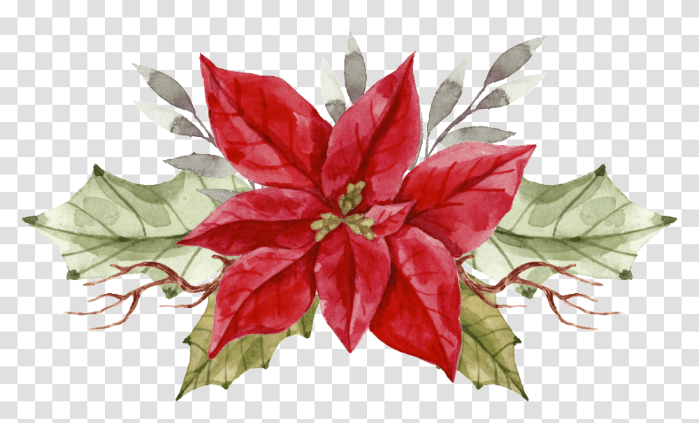 Painted A Christmas Flower, Leaf, Plant, Petal, Blossom Transparent Png
