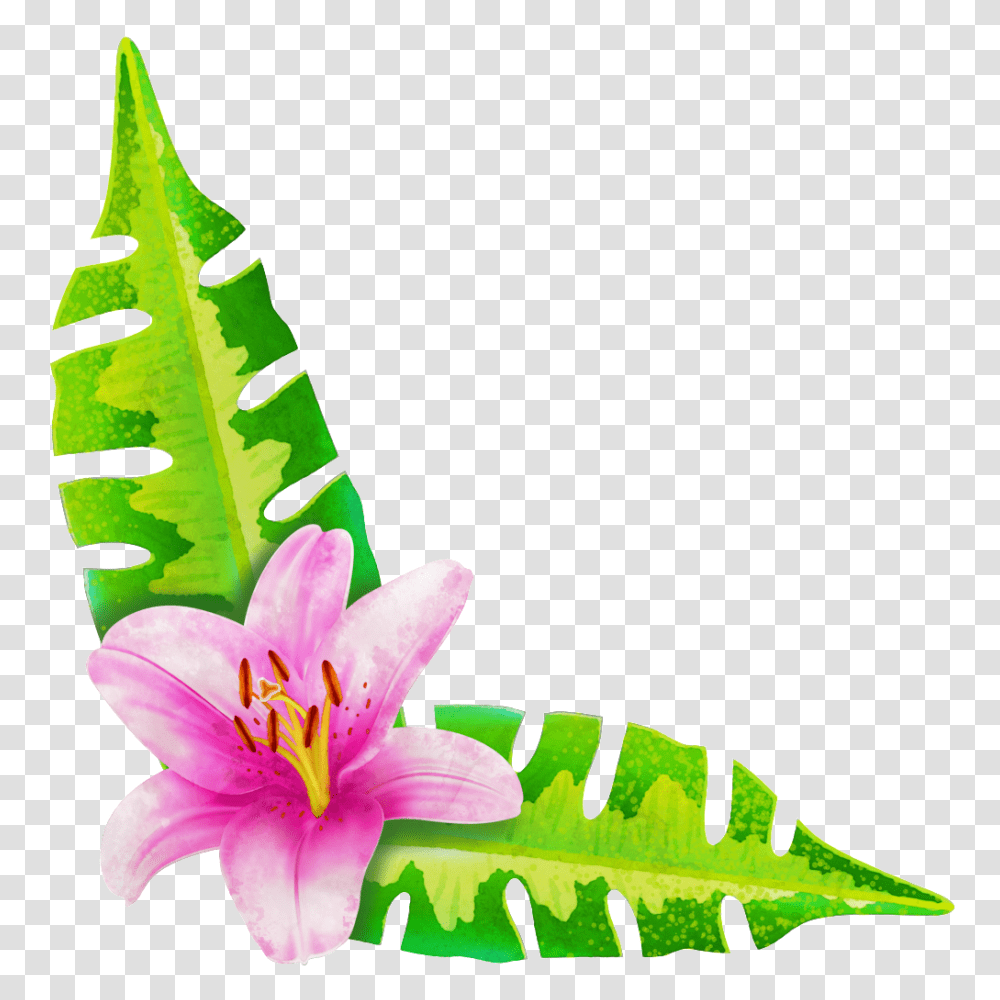 Painted A Flower Two Leaves Free Download, Plant, Blossom, Leaf, Lily Transparent Png