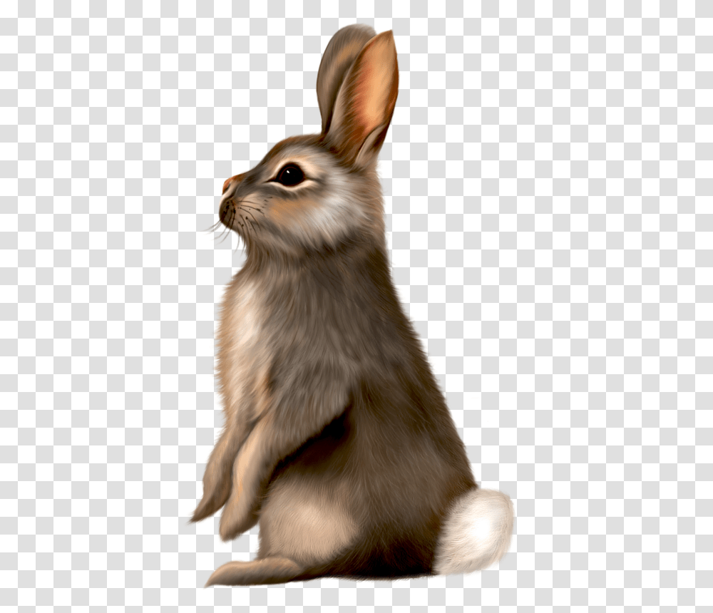 Painted Brown Bunny Clipart Animal, Dog, Pet, Canine, Mammal Transparent Png