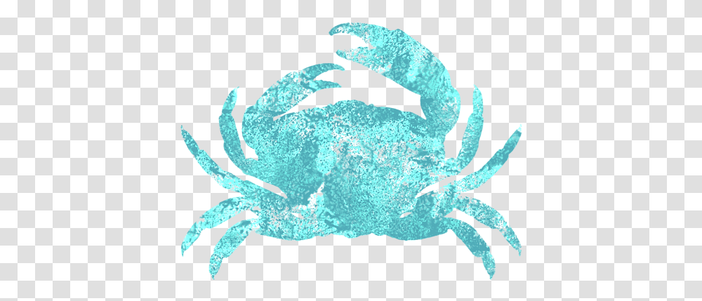 Painted Crab, Animal, Sea Life, Food, Seafood Transparent Png