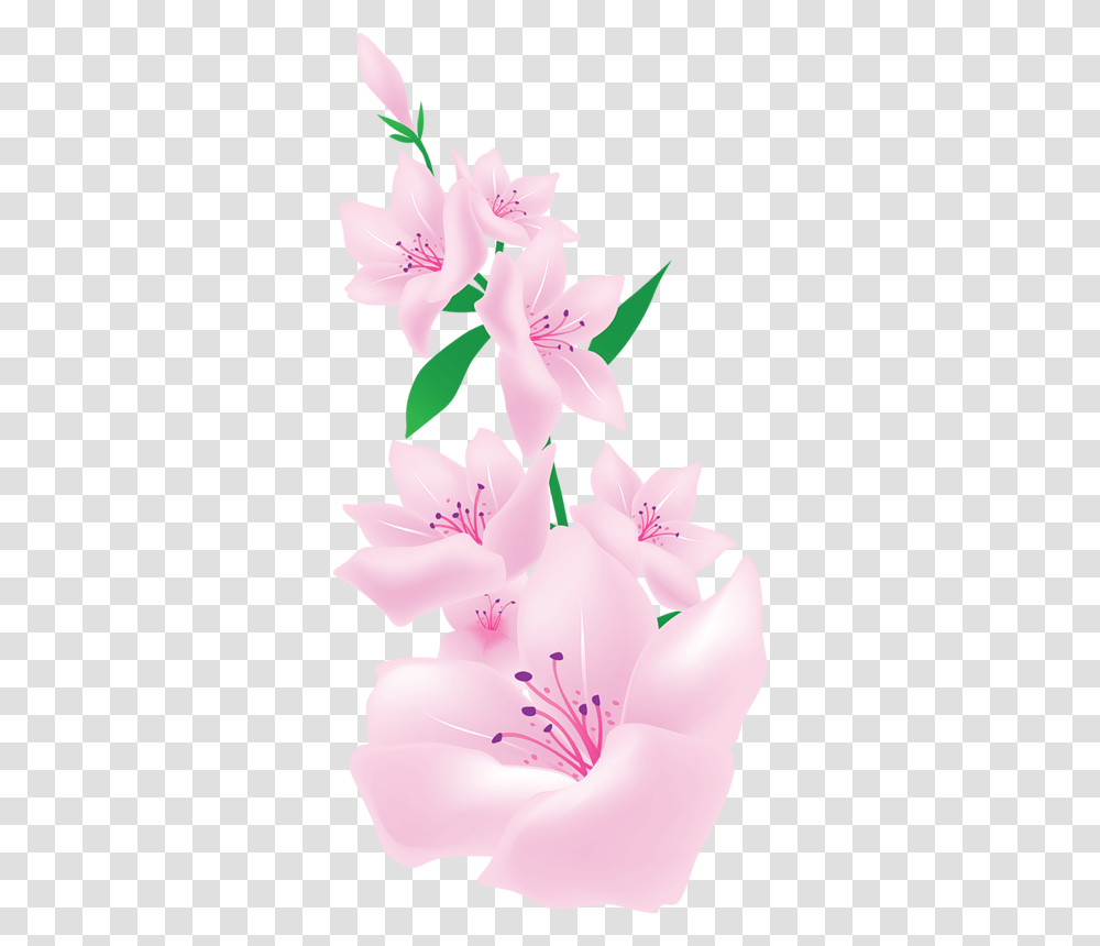 Painted Flower Art, Plant, Blossom, Anther, Petal Transparent Png