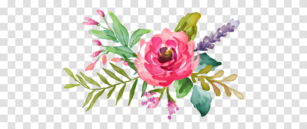 Painted Flowers Image Vector Pink Watercolor Flowers, Plant, Rose, Floral Design, Pattern Transparent Png