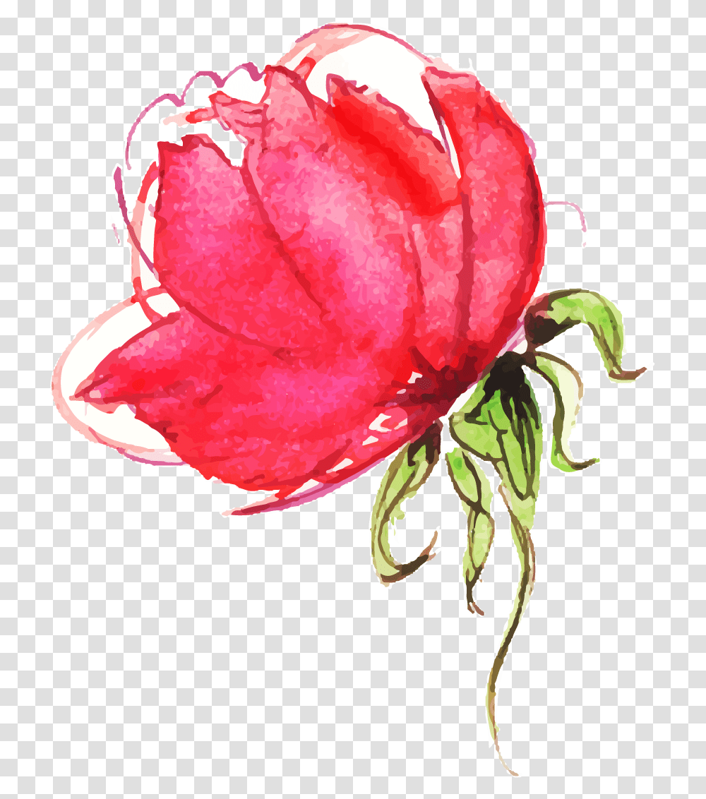 Painted Flowers, Rose, Plant, Blossom, Floral Design Transparent Png