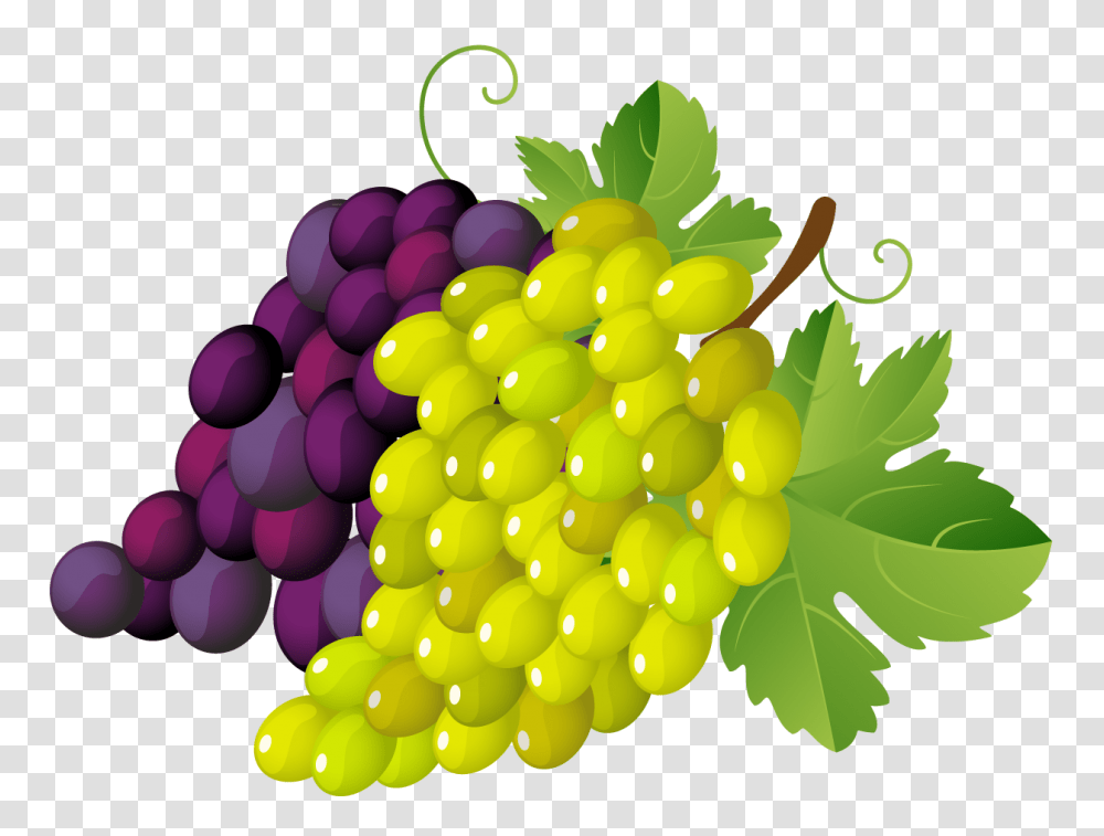 Painted Grapes, Fruit, Plant, Food, Balloon Transparent Png