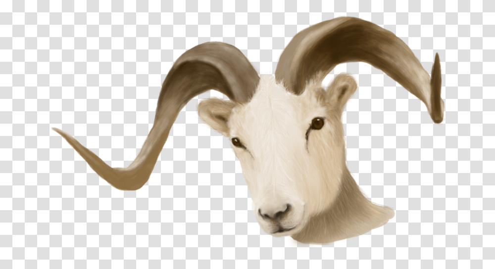 Painted Ram Head Ram Head Background, Goat, Mammal, Animal, Mountain Goat Transparent Png