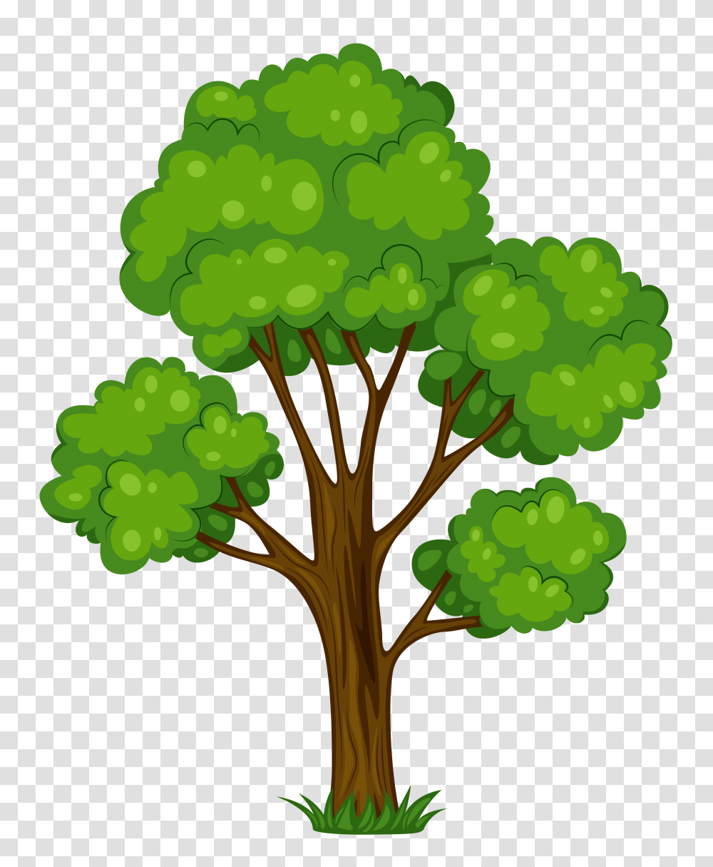 Painted Tree Clipart Picture Gallery, Plant, Vegetable, Food, Broccoli Transparent Png