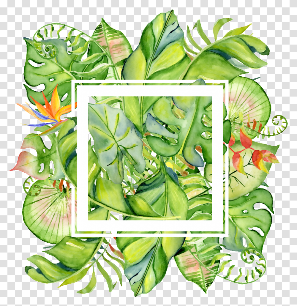 Painted Tropical Leaves Frame About Border Tropical Leaves, Collage, Poster, Advertisement, Plant Transparent Png