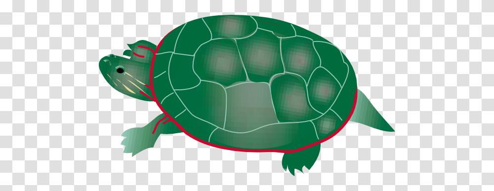 Painted Turtle Clip Art, Outdoors, Nature, Animal, Tortoise Transparent Png