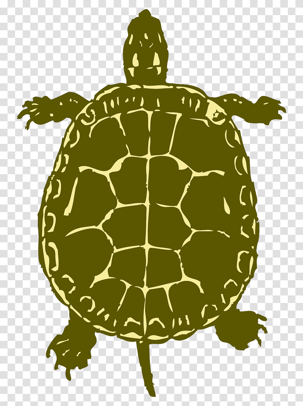 Painted Turtle Silhouette, Reptile, Sea Life, Animal, Tortoise Transparent Png