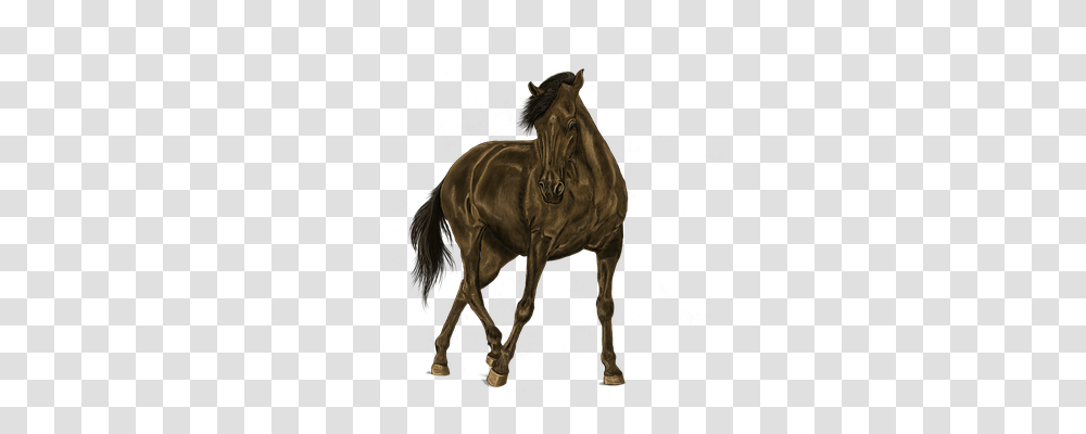 Painting Animals, Horse, Mammal, Colt Horse Transparent Png