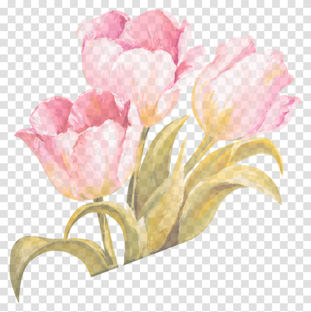 Painting Flower Ribbon Transprent Pink Tulip Watercolor, Plant, Blossom Transparent Png