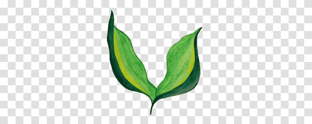Painting Images Under Cc0 License, Plant, Leaf, Produce, Food Transparent Png
