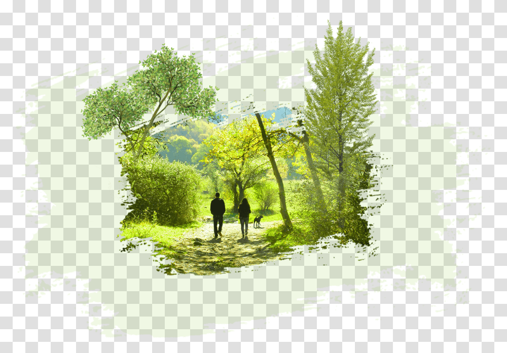 Painting, Person, Outdoors, Green, Grass Transparent Png