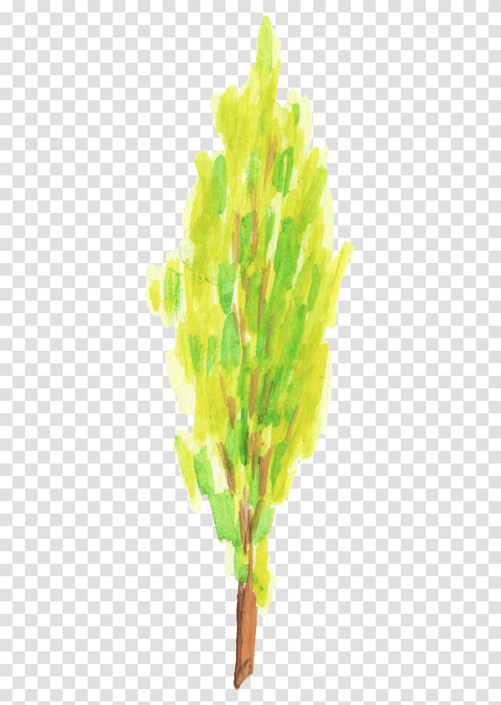 Painting, Pineapple, Plant, Food Transparent Png