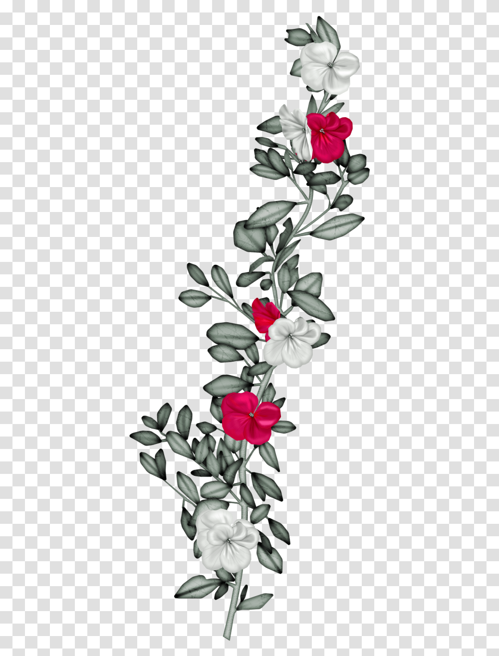 Painting, Plant, Flower, Blossom, Geranium Transparent Png