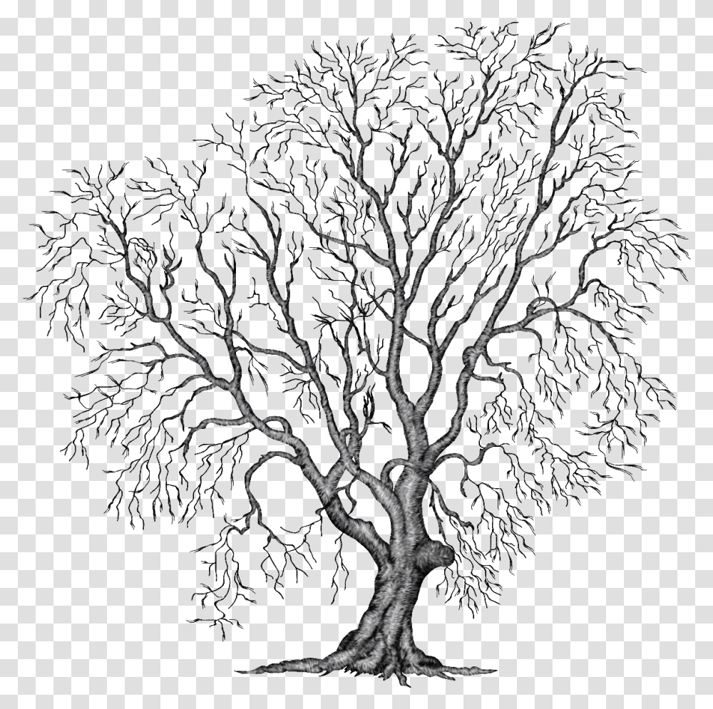 Painting Tree Clipart Illustration File Autumn Winter Tree Clipart, Plant, Oak, Root, Tree Trunk Transparent Png