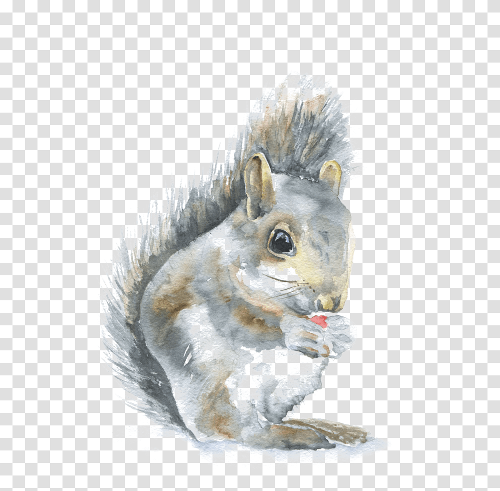 Paintings Of Woodland Animals Download Susan Windsor Watercolor, Bird, Mammal, Squirrel, Rodent Transparent Png