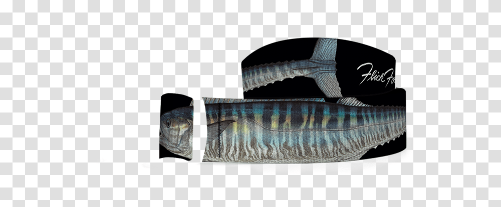 Paisley, Coho, Fish, Animal, Sea Life Transparent Png