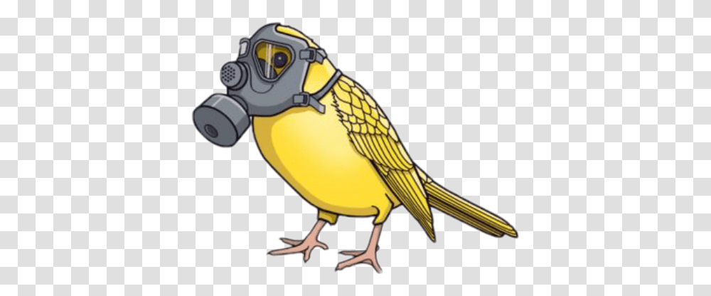 Pajaro Peligro Bird With Gas Mask, Animal, Finch, Canary Transparent Png