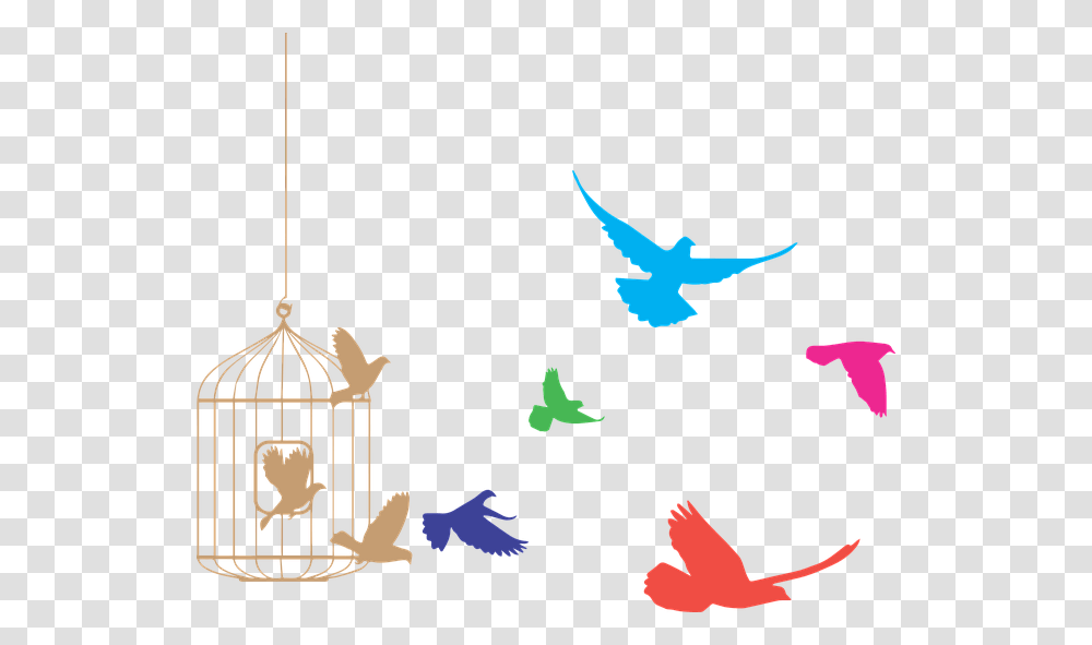 Pajaros Birds Flying Out Of Cage, Animal, Airplane, Aircraft, Vehicle Transparent Png