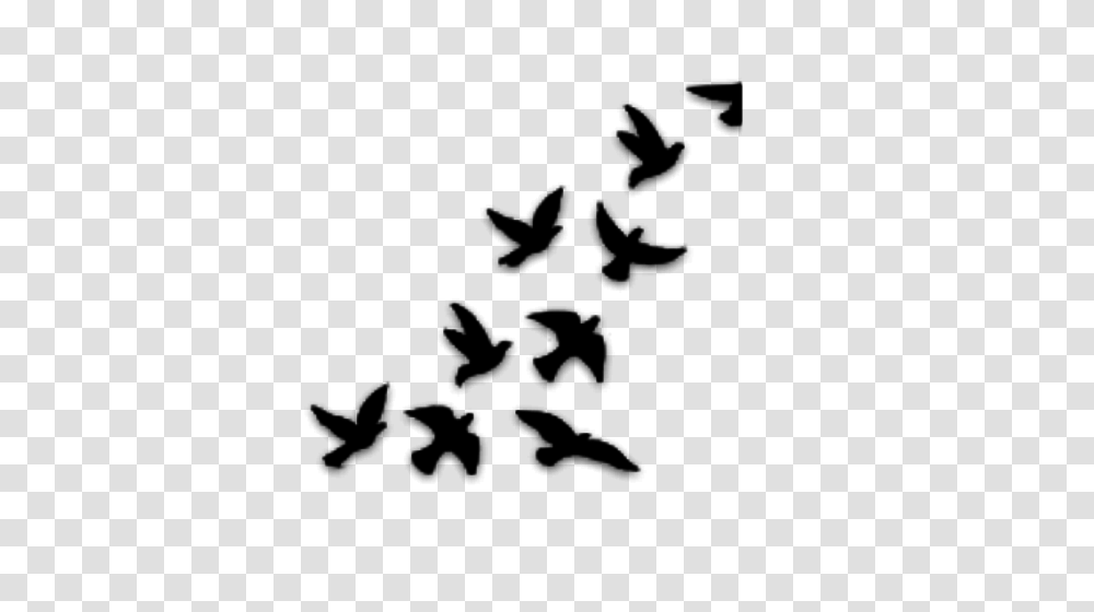 Pajaros Blanco Y, Gray, World Of Warcraft Transparent Png