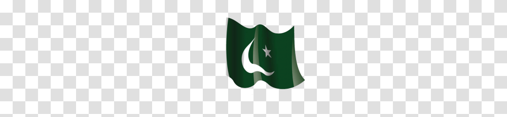 Pakistan Flag Hd Vector Clipart, Star Symbol, American Flag Transparent Png