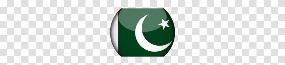 Pakistan Flag Vector Clipart, Lighting, Logo, Trademark Transparent Png